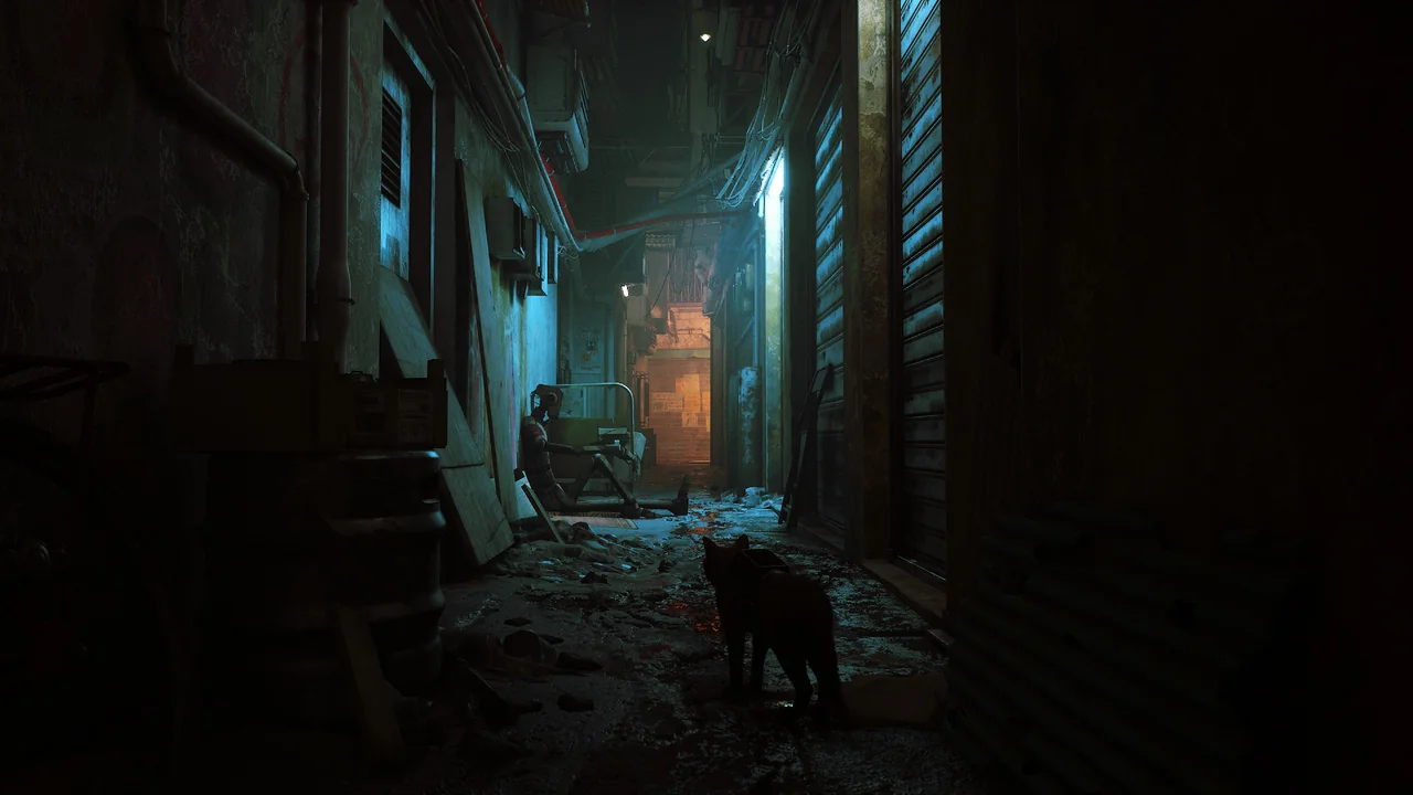 Stray ASIA PC Steam CD Key