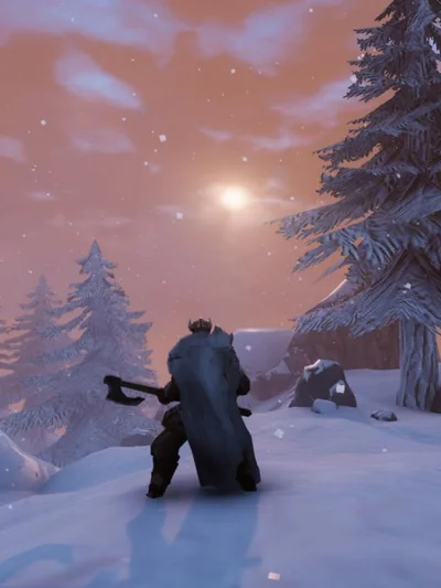Valheim - Premium Items Pack Manual Delivery